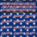 CUSTOM ROYAL RED-WHITE 3D PATTERN DESIGN AMERICAN FLAG ASKETBALL 